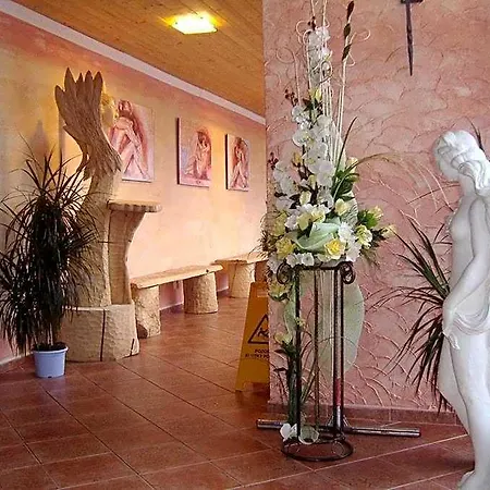Wellness فندق Bahenec
