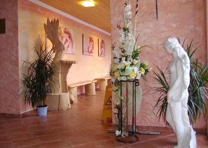 Hotel Wellness 3*